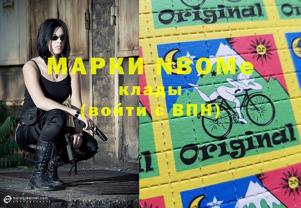 стаф Баксан