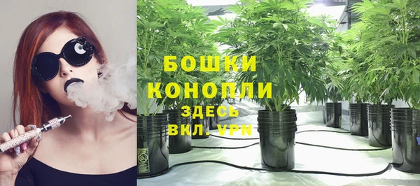 стаф Баксан