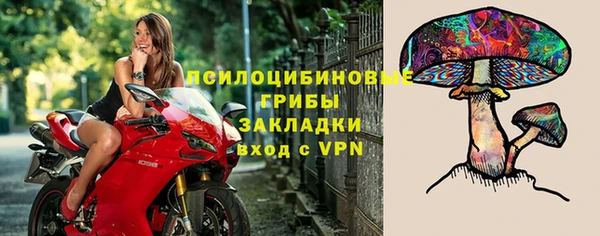 стаф Баксан