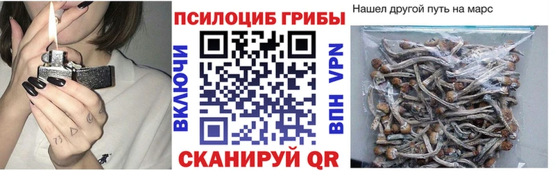 Псилоцибиновые грибы мицелий Котельники